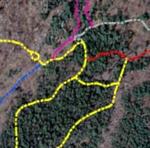 SPATIAL ANALYSIS OF COLBY COLLEGE TRAILS: PERKINS ARBORETUM AND RUNNALS HILL by Jacqueline Rolleri